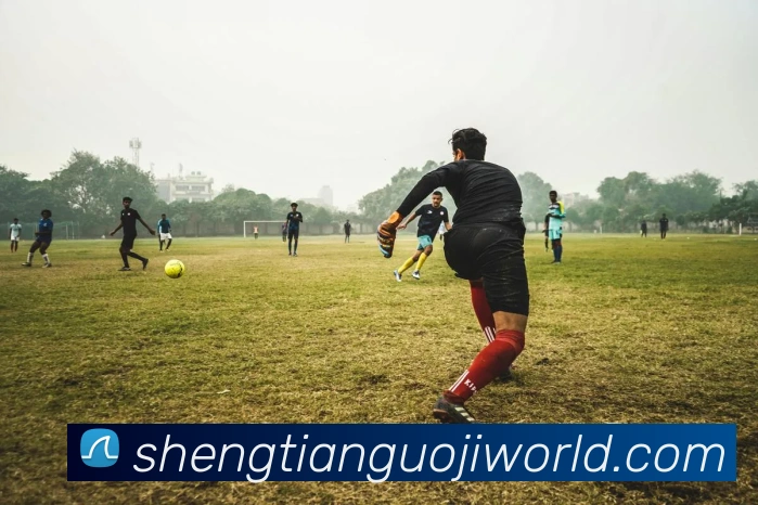 体育App